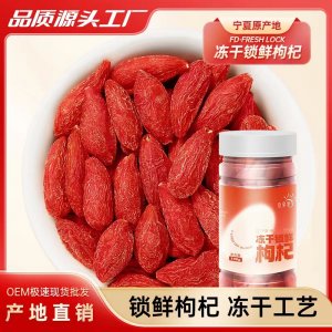 凍干枸杞寧夏枸杞OEM代加工