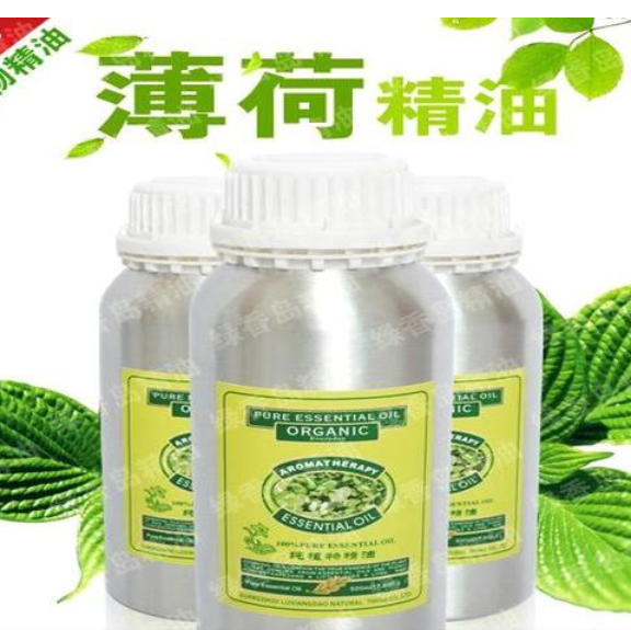 供應(薄荷)單方精油批發 薄荷精油廠家 薄荷植物精油OEM代工廠