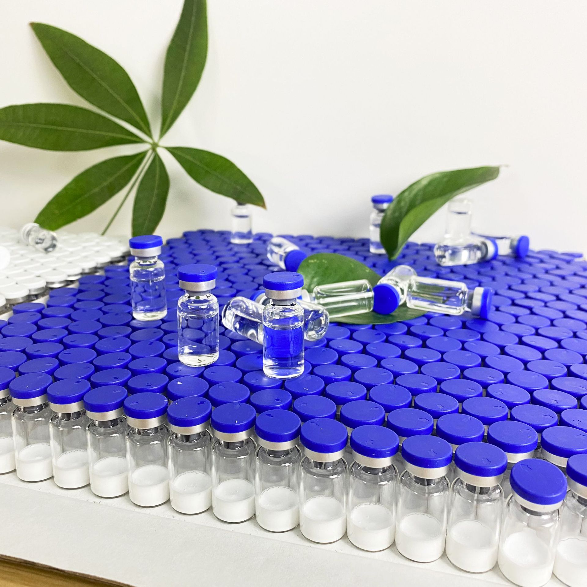 玻色因凍干粉多肽抗皺淡化細紋補水緊致OEM代工廠