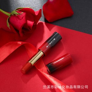 sysryb網紅款啞光口紅唇釉唇彩唇蜜oem代加工