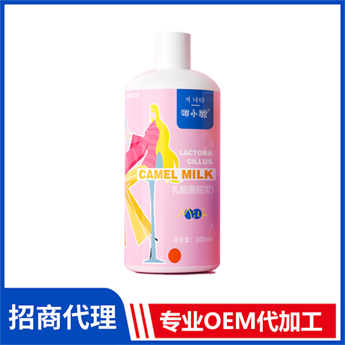 源自新疆的發酵乳 那小駝乳酸菌駝奶批發廠家