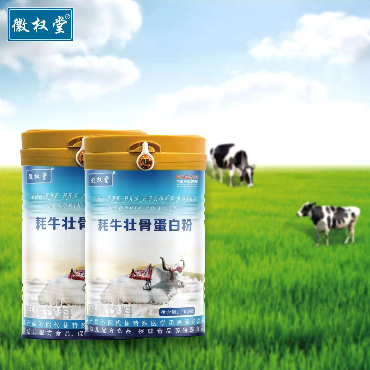 成人中老年兒童牦牛蛋白質粉復合蛋白固體飲料羊奶駝奶1kg蛋白粉OEM代加工