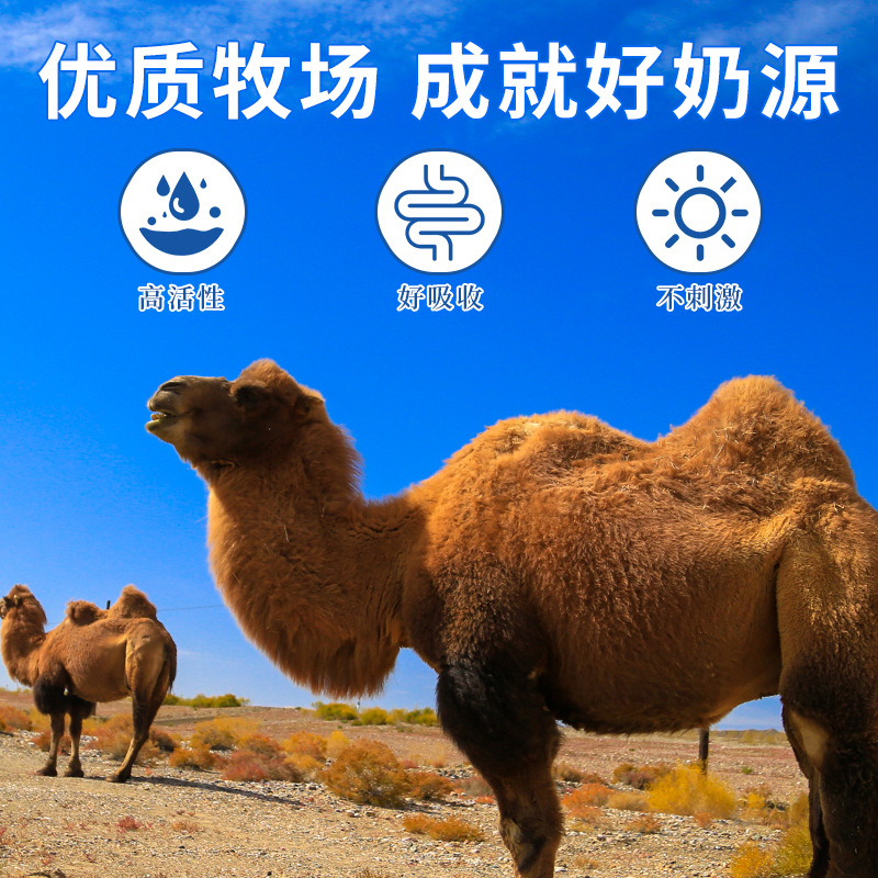 朝阜駝奶鈣片正品益生菌鈣片兒童青少年中老年一件代發源頭工廠OEM代加工