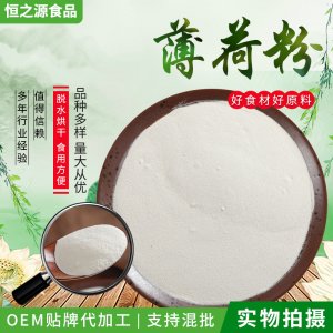 薄荷粉 壓片糖果固體飲料使用原料 速溶薄荷粉食品級水溶性薄荷粉