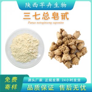 三七總皂苷80% 三七皂甙 藥典標準液相檢測 100g 袋 廠家包郵