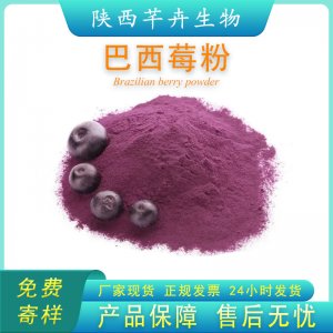 巴西莓粉99% 巴西梅果粉 固體飲料 濃縮汁粉 另有凍干粉 1kg包郵