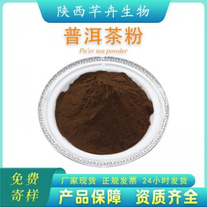 速溶普洱茶粉99% 普洱茶粉 普洱茶提取物 食品飲品原料 廠家包郵