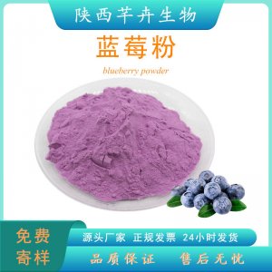 藍莓粉食品級 藍莓提取物 水溶藍莓果粉 藍莓汁 濃縮粉 廠家現(xiàn)貨