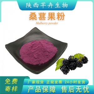 桑葚粉99% 水溶桑葚果粉 桑葚提取物 另有桑葚凍干粉 1KG廠家包郵