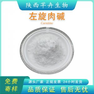 左旋肉堿 99% L-肉堿 左旋肉堿粉食品級 左旋肉堿1KG包郵