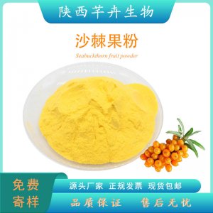 沙棘粉99% 沙棘噴霧粉 水溶沙棘果粉 沙棘提取物 廠家現貨1KG包郵