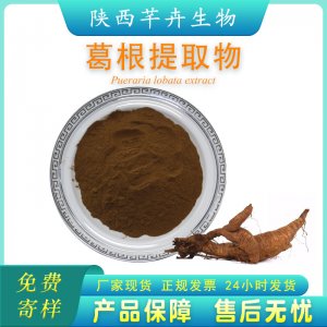葛根提取物10 1 水溶 野葛根葛根粉 藥食同源 含葛根黃酮 葛根素