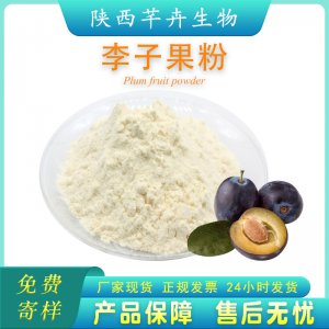 李子粉99% 李子果粉 水溶 李子汁粉 水果粉 固體飲料 1KG廠家包郵