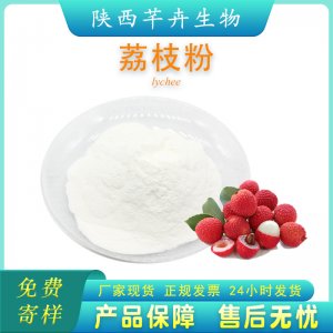 荔枝果粉99% 荔枝粉 荔枝提取物 水溶 固體飲料 水果粉 廠家包郵