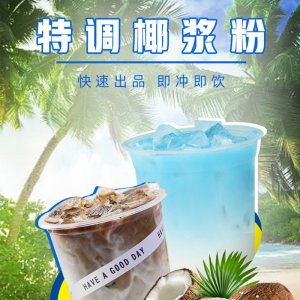 廠家批發(fā)速溶椰奶粉椰汁拿鐵奶茶店椰子粉楊枝甘露原料商用速溶