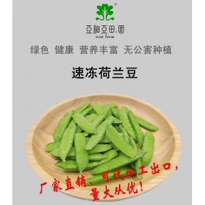 速凍荷蘭豆；出口品質(zhì)冷凍蔬菜；批發(fā)代加工(OEM)；工廠 產(chǎn)地直銷