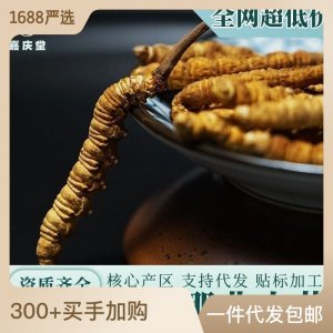 西藏那曲冬蟲夏草正品凍干 傳統滋補品營養品 蟲草干貨源頭批發
