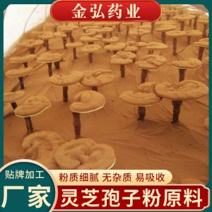 廠家原料破壁靈芝孢子粉 破壁孢子粉原料備案