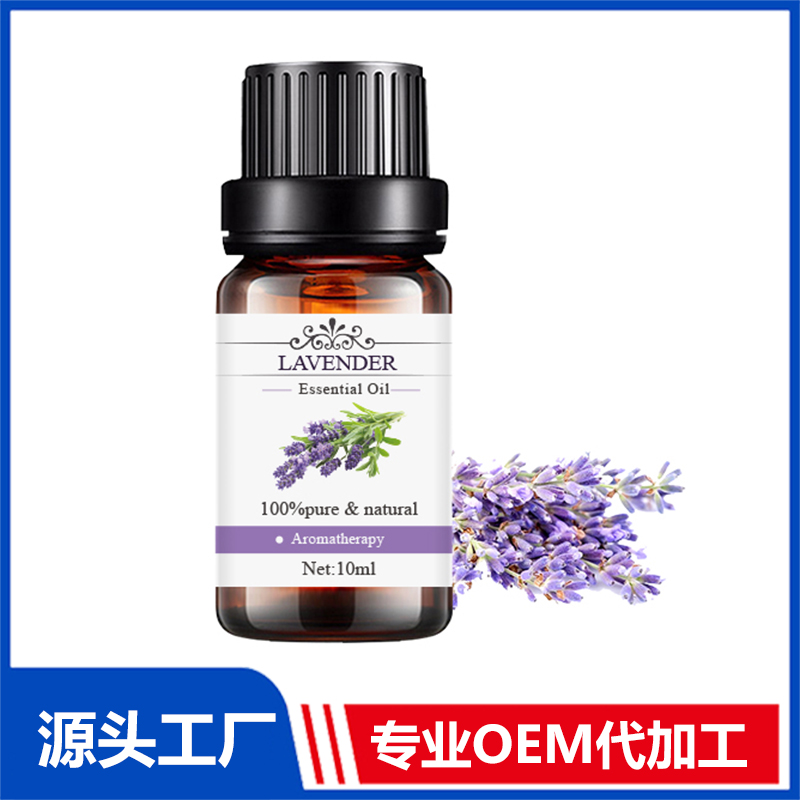 薰衣草Lavender植物提取精油現貨批發 精油OEM代加工