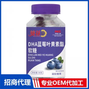DHA藍莓葉黃素酯軟糖OEM代加工 凝膠糖果膠囊軟糖貼牌定制