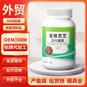 葛根靈芝壓片糖果 OEM/ODM貼牌代加工批發定制源頭工廠