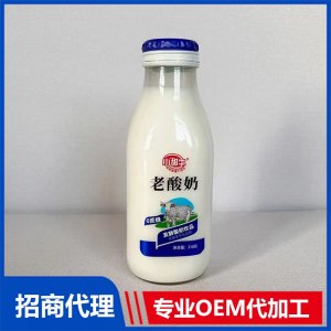310克玻璃瓶老酸奶OEM代加工 酸奶貼牌定制源頭工廠