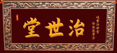 安徽省治世堂藥業有限公司
