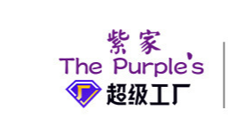 浙江紫家防護(hù)用品有限公司